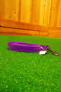 Sequoia Leash